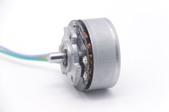 DBL3825 12V 24V BLDC Motor Torsi Tinggi Fascial Gun Mini DC Brushless Motor