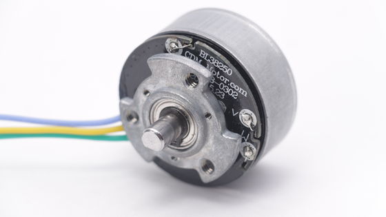 DBL3825 12V 24V BLDC Motor Torsi Tinggi Fascial Gun Mini DC Brushless Motor