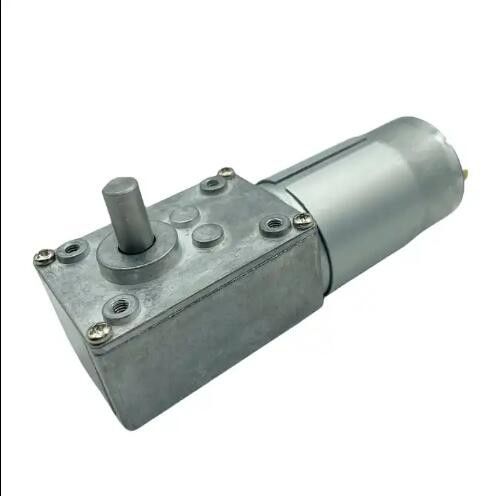 Torsi Tinggi Sikat DC Gear Motor 12V 555 Cacing Gear Motor 24V Kecepatan rendah